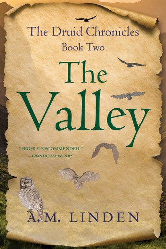 The Valley: The Druid Chronicles, Book Two (The Druid Chronicles) book cover by A. M. Linden