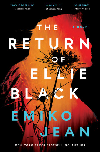 The Return of Ellie Black: A Novel (Chelsey Calhoun) book cover by Emiko Jean
