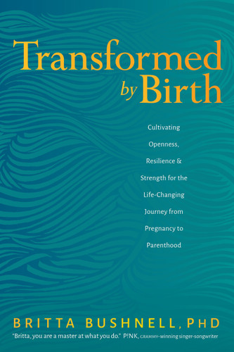 Transformed by Birth: Cultivating Openness, Resilience, and Strength for the Life-Changing Journey from Pregnancy to Parenthood book cover by Britta Bushnell, PhD