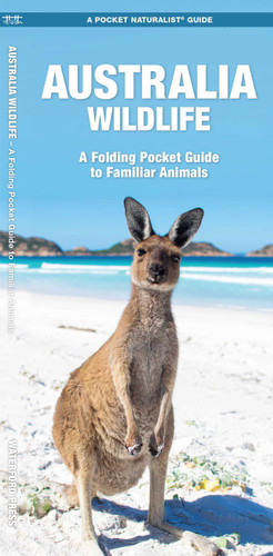 Australia Wildlife: A Folding Pocket Guide to Familiar Animals (Wildlife and Nature Identification) book cover by Waterford Press