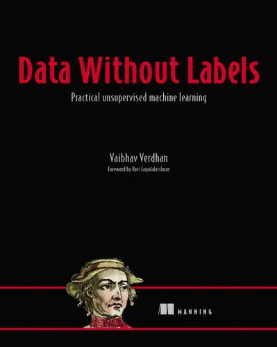 Data Without Labels: Practical unsupervised machine learning book cover by Vaibhav Verdhan