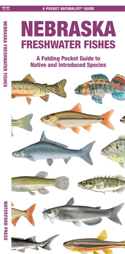 Nebraska Freshwater Fishes: A Folding Pocket Guide to Native and Introduced Species (Nature Observation North America) book cover by Matthew Morris