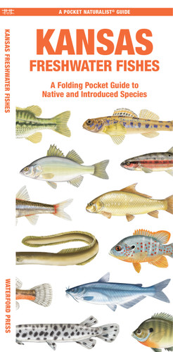 Kansas Freshwater Fishes: A Folding Pocket Guide to Native and Introduced Species (Nature Observation North America) book cover by Matthew Morris