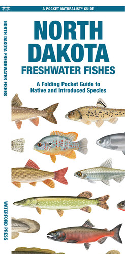 North Dakota Freshwater Fishes: A Folding Pocket Guide to Native and Introduced Species (Nature Observation North America) book cover by Matthew Morris