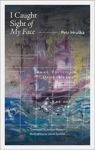 I Caught Sight of My Face book cover by Petr Hruška