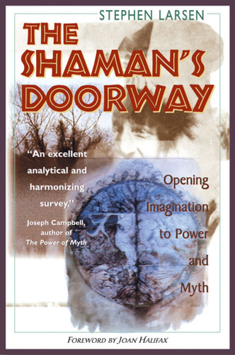 The Shaman's Doorway: Opening Imagination to Power and Myth book cover by Stephen Larsen