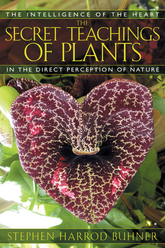 The Secret Teachings of Plants: The Intelligence of the Heart in the Direct Perception of Nature book cover by Stephen Harrod Buhner