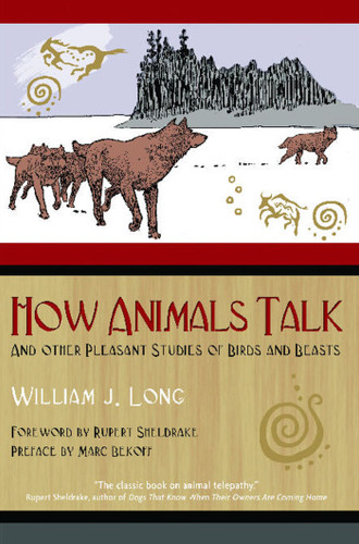 How Animals Talk: And Other Pleasant Studies of Birds and Beasts book cover by William J. Long