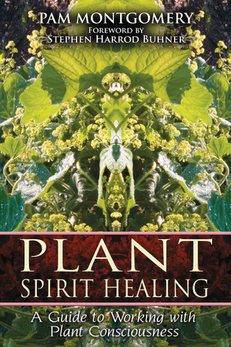 Plant Spirit Healing: A Guide to Working with Plant Consciousness book cover by Pam Montgomery
