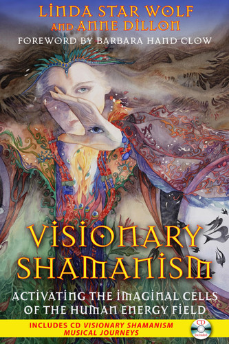 Visionary Shamanism: Activating the Imaginal Cells of the Human Energy Field book cover by Linda Star Wolf, Anne Dillon