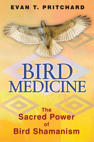 Bird Medicine: The Sacred Power of Bird Shamanism book cover by Evan T. Pritchard