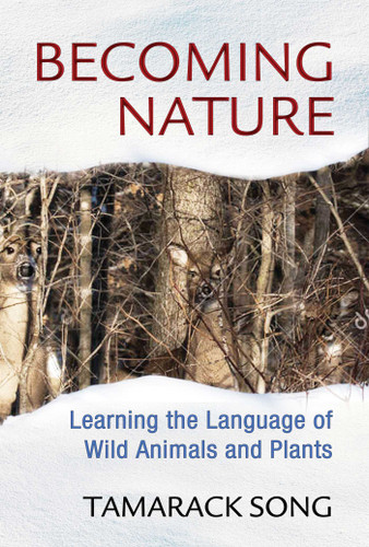 Becoming Nature: Learning the Language of Wild Animals and Plants book cover by Tamarack Song
