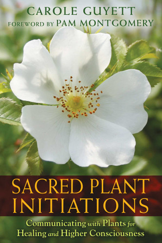 Sacred Plant Initiations: Communicating with Plants for Healing and Higher Consciousness book cover by Carole Guyett