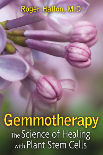 Gemmotherapy: The Science of Healing with Plant Stem Cells book cover by Roger Halfon