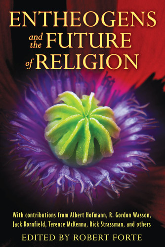 Entheogens and the Future of Religion book cover by 