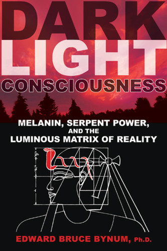 Dark Light Consciousness: Melanin, Serpent Power, and the Luminous Matrix of Reality book cover by Edward Bruce Bynum