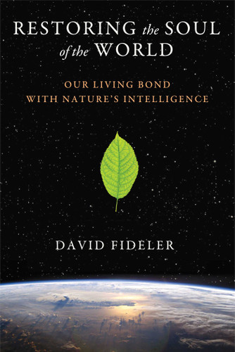 Restoring the Soul of the World: Our Living Bond with Nature's Intelligence book cover by David Fideler