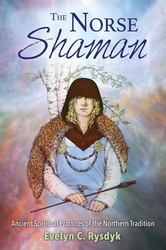 The Norse Shaman: Ancient Spiritual Practices of the Northern Tradition book cover by Evelyn C. Rysdyk