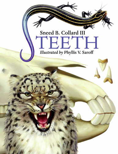 Teeth book cover by Sneed B. Collard III