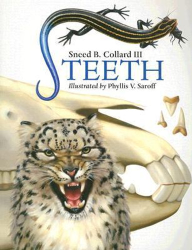 Teeth Cover Teeth Cover