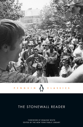 The Stonewall Reader book cover by 