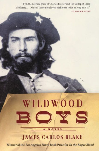 Wildwood Boys: A Novel book cover by James Carlos Blake