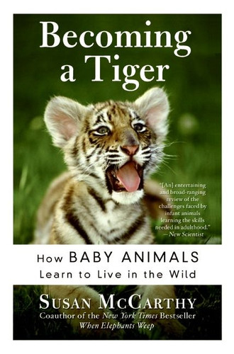 Becoming a Tiger: How Baby Animals Learn to Live in the Wild book cover by Susan McCarthy