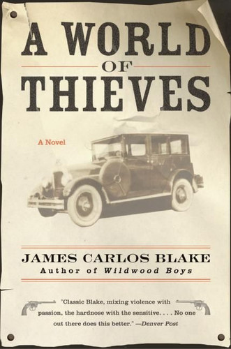 A World of Thieves: A Novel [9780060512477]