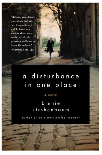 A Disturbance in One Place: A Novel book cover by Binnie Kirshenbaum