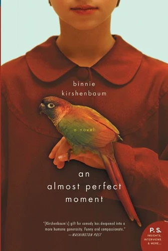 An Almost Perfect Moment: A Novel book cover by Binnie Kirshenbaum