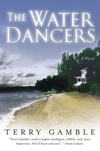 The Water Dancers: A Novel book cover by Terry Gamble