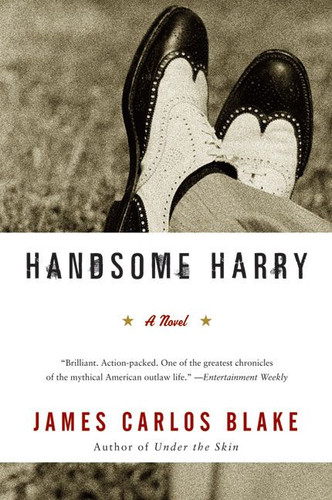Handsome Harry: A Novel book cover by James Carlos Blake