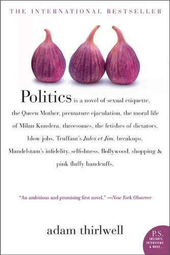 Politics: A Novel book cover by Adam Thirlwell