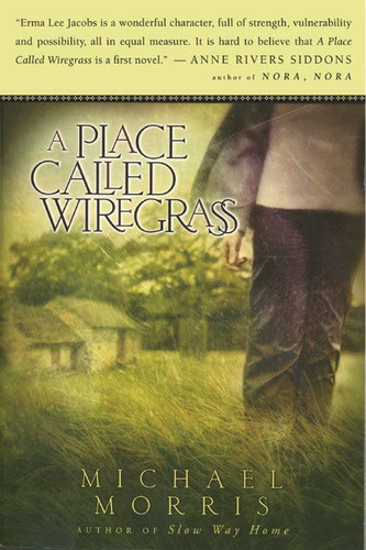 A Place Called Wiregrass book cover by Michael Morris