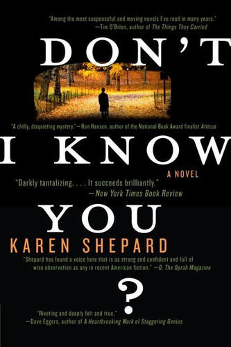 Don't I Know You?: A Novel book cover by Karen Shepard