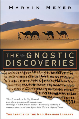 The Gnostic Discoveries: The Impact of the Nag Hammadi Library book cover by Marvin W. Meyer
