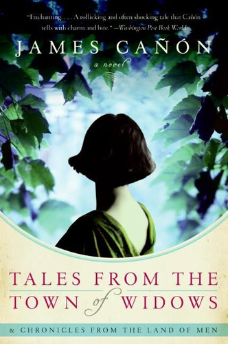 Tales from the Town of Widows: A Novel book cover by James Canon