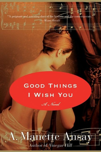Good Things I Wish You: A Novel book cover by A. Manette Ansay
