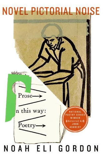 Novel Pictorial Noise (National Poetry Series #6) book cover by Noah Eli Gordon
