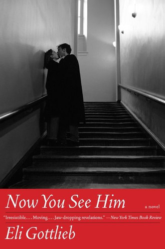 Now You See Him: A Novel book cover by Eli Gottlieb