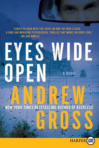 Eyes Wide Open: A Novel book cover by Andrew Gross