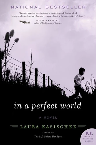 In a Perfect World: A Novel book cover by Laura Kasischke