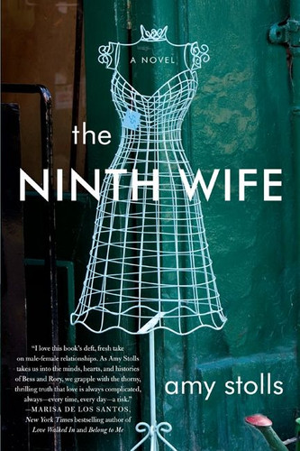 The Ninth Wife: A Novel book cover by Amy Stolls