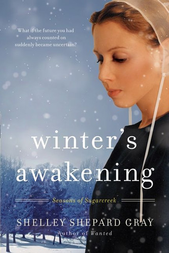 Winter's Awakening: Seasons of Sugarcreek, Book One (Seasons of Sugarcreek #1) book cover by Shelley Shepard Gray