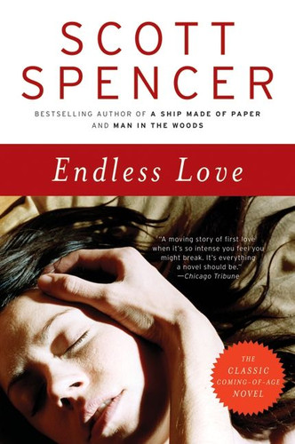 Endless Love: A Novel book cover by Scott Spencer