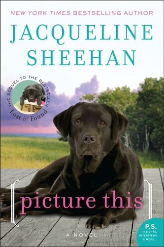 Picture This: A Novel (Peaks Island #2) book cover by Jacqueline Sheehan
