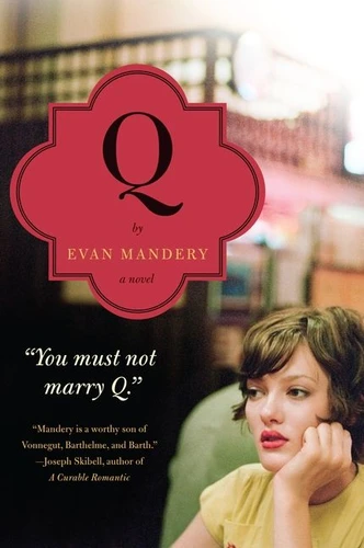 Q: A Novel book cover by Evan Mandery