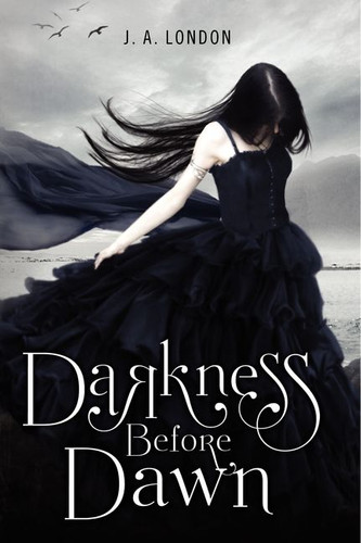 Darkness Before Dawn (Darkness Before Dawn #1) book cover by J. A. London