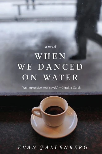 When We Danced on Water: A Novel book cover by Evan Fallenberg