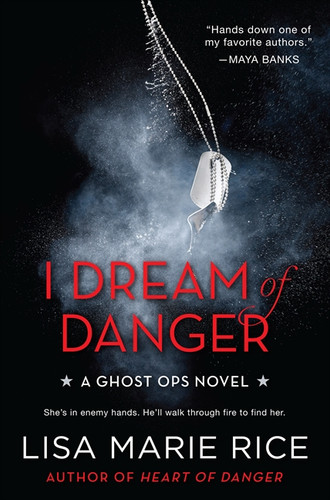 I Dream of Danger: A Ghost Ops Novel (Ghost Ops Novels #2) book cover by Lisa Marie Rice
